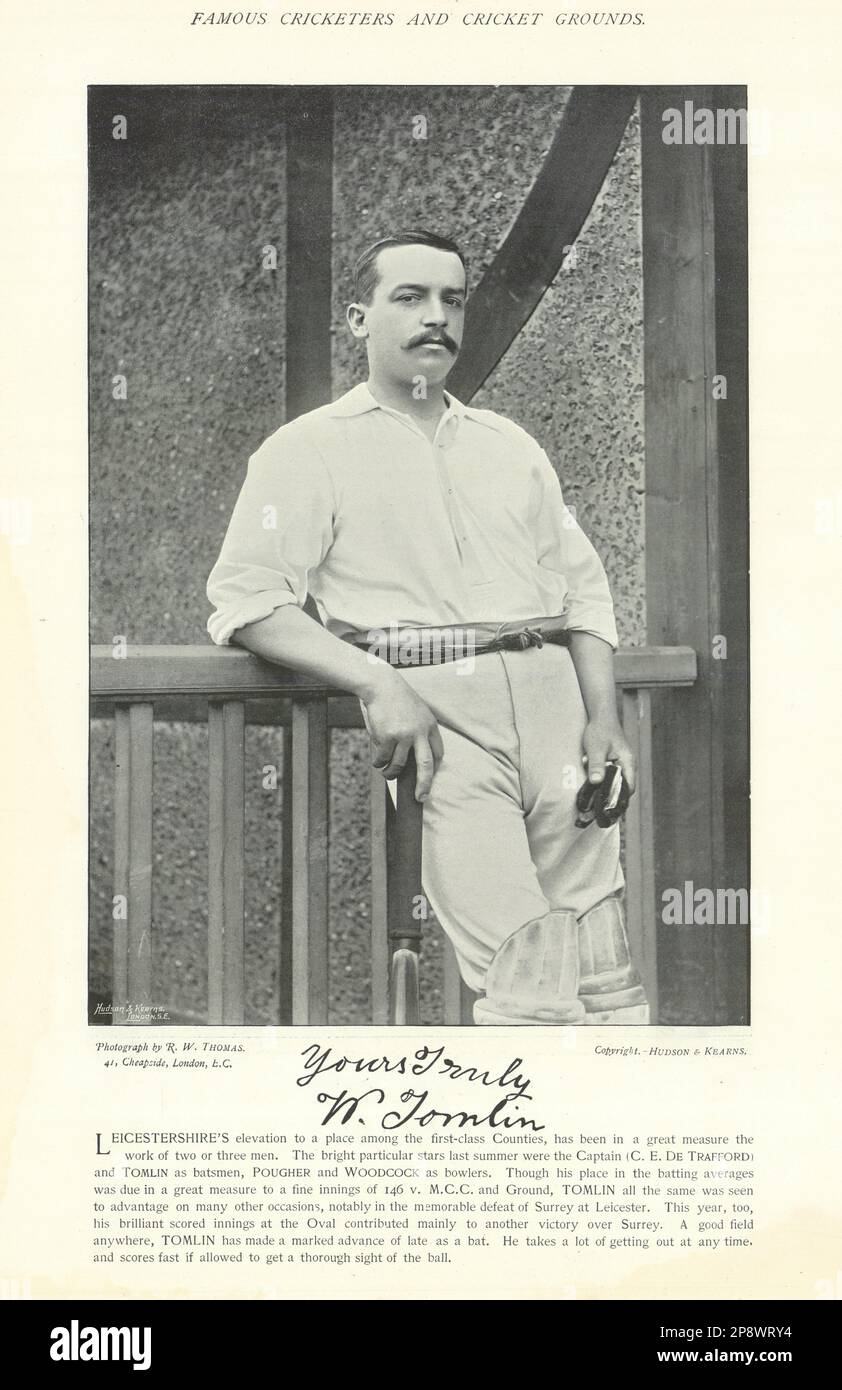 William Tomlin. Allrounder. Leicestershire Cricketer 1895 alter Antiquitätendruck Stockfoto