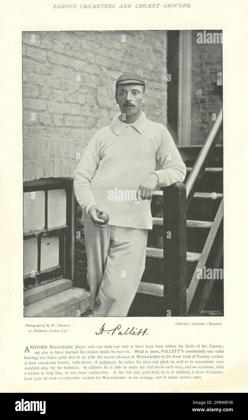 Henry Pallett. Allrounder. Warwickshire Cricketer 1895 alter antiker Druck Stockfoto