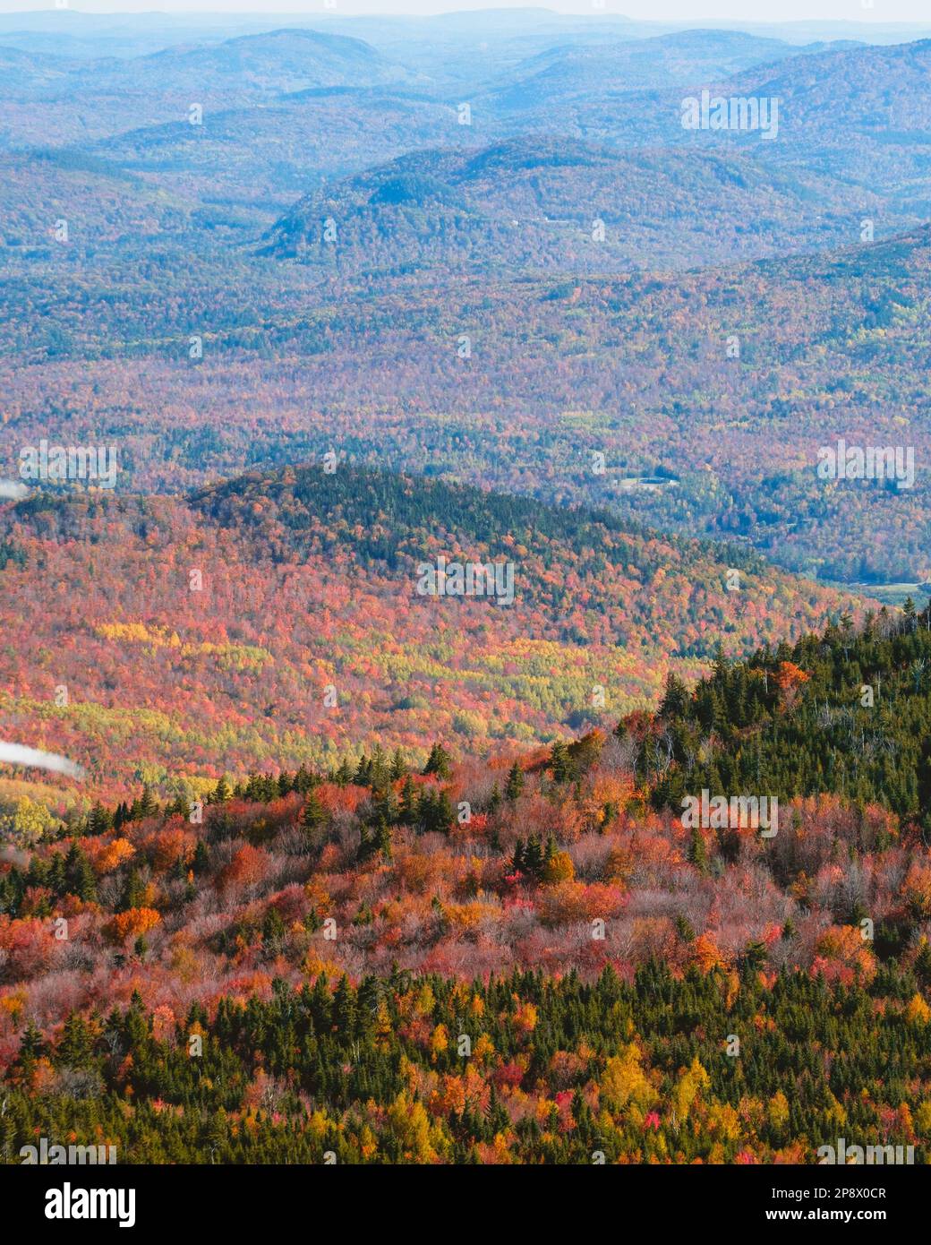 Ein Blick auf ein herbstfarbenes Tal im White Mountain National Forest Stockfoto