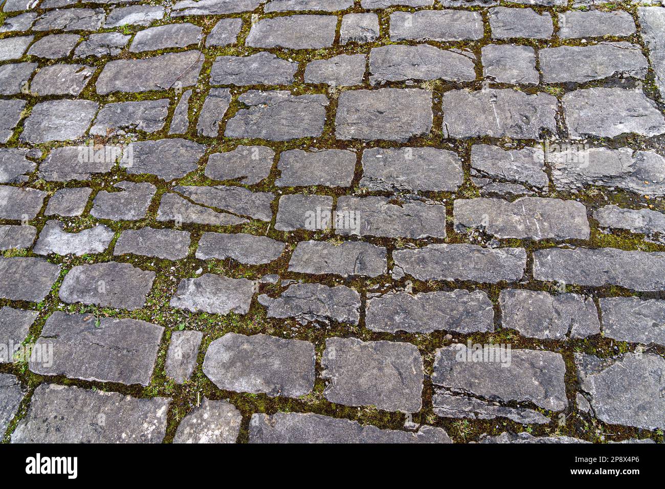 Straße mit grauen Pflastersteinen durch die historische Stadt Stockfoto