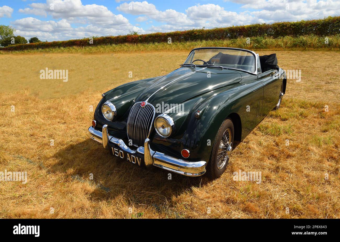 LITTLE GRANSDEN, CAMBRIDGESHIRE, ENGLAND – 28. AUGUST 2022: Klassisches Jaguar Coupé mit 1960 kg und absenkbarem Kopf, XK150 kg, parkt auf dem Feld. Stockfoto