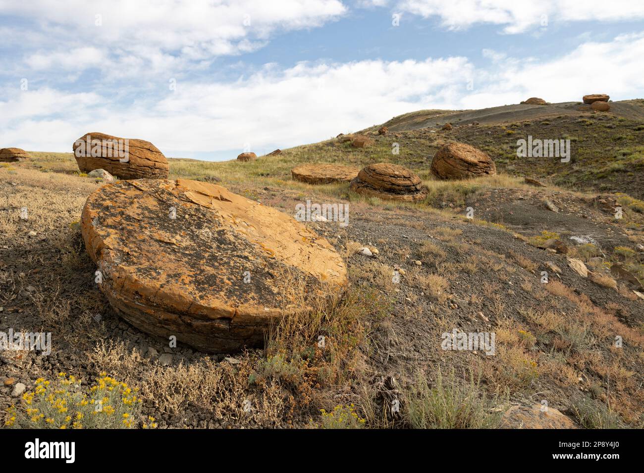 Red Rock Coulee, Alberta, Kanada, im County of Forty Mile Stockfoto