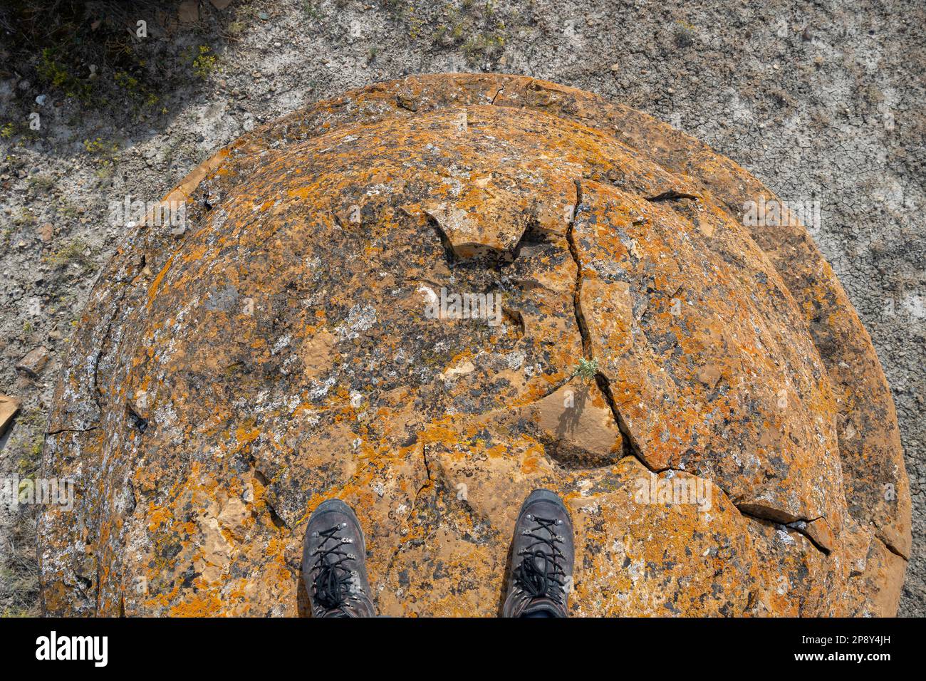 Auf einem der Felsen in Red Rock Coulee, Alberta, Kanada, im County of Forty Mile Stockfoto