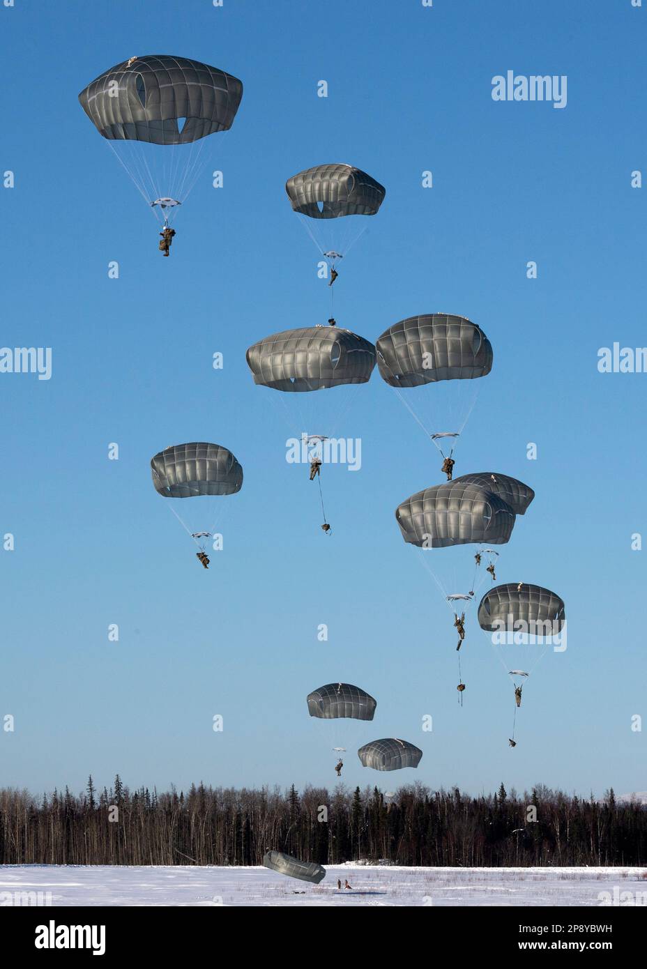 USA Fallschirmjäger der 2. Infanterie-Brigaden-Kampfeinheit (Airborne), 11. Luftwaffe, fahren über die Malemute Drop Zone während eines Frauensprungs auf der Joint Base Elmendorf-Richardson, Alaska, 7. März 2023. Die Luftaktion wurde in Anerkennung des geschichtlichen Monats der Frauen durchgeführt und war der erste rein weibliche Sprung in der Geschichte der Division. Jedes Bataillon der 2/11 war beim Sprung vertreten, ebenso wie die Mitarbeiter der Division. (USA Air Force Foto von Alejandro Peña) Stockfoto