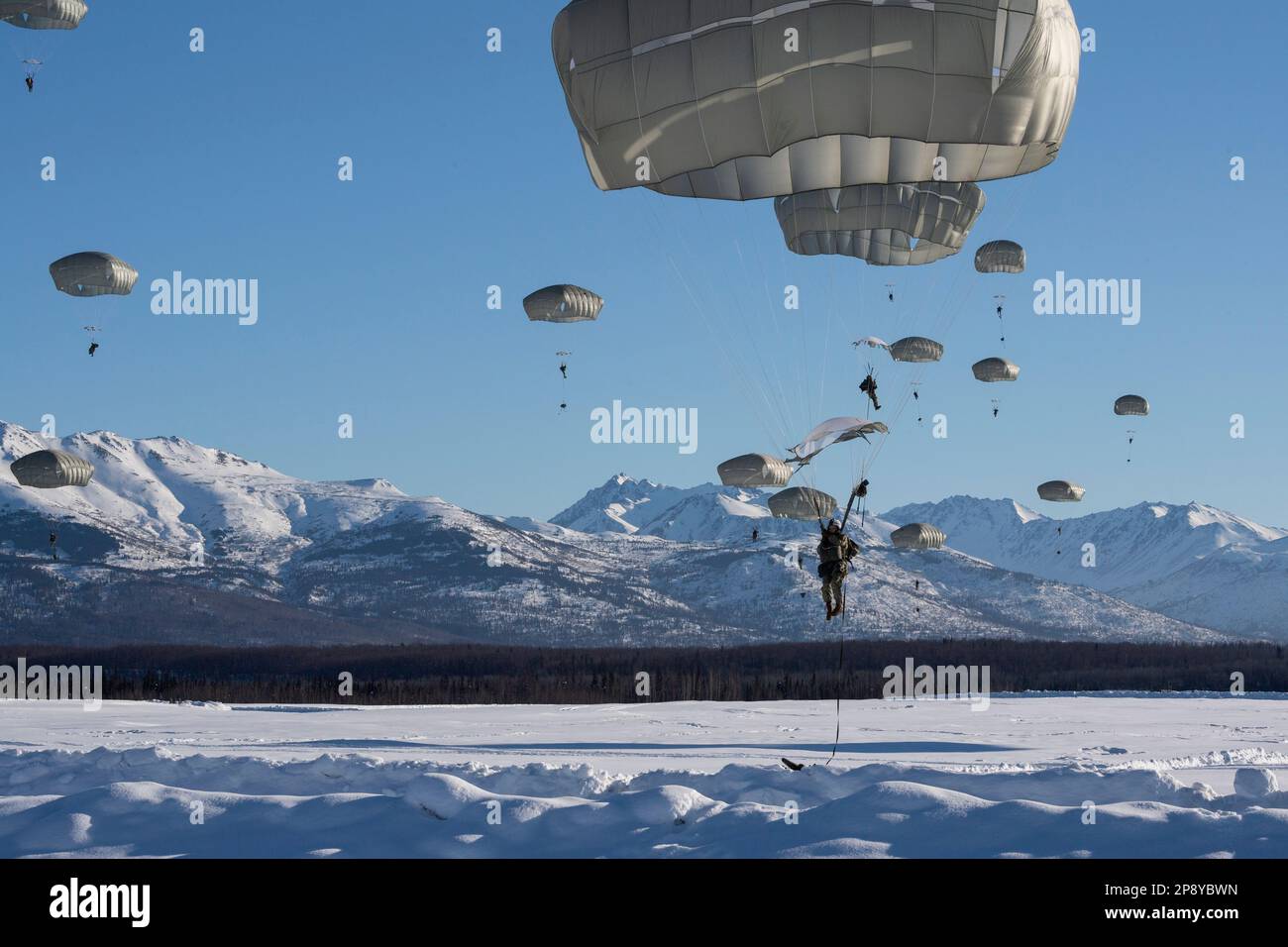 USA Fallschirmjäger der 2. Infanterie-Brigaden-Kampfeinheit (Airborne), 11. Luftwaffe, fahren über die Malemute Drop Zone während eines Frauensprungs auf der Joint Base Elmendorf-Richardson, Alaska, 7. März 2023. Die Luftaktion wurde in Anerkennung des geschichtlichen Monats der Frauen durchgeführt und war der erste rein weibliche Sprung in der Geschichte der Division. Jedes Bataillon der 2/11 war beim Sprung vertreten, ebenso wie die Mitarbeiter der Division. (USA Air Force Foto von Alejandro Peña) Stockfoto