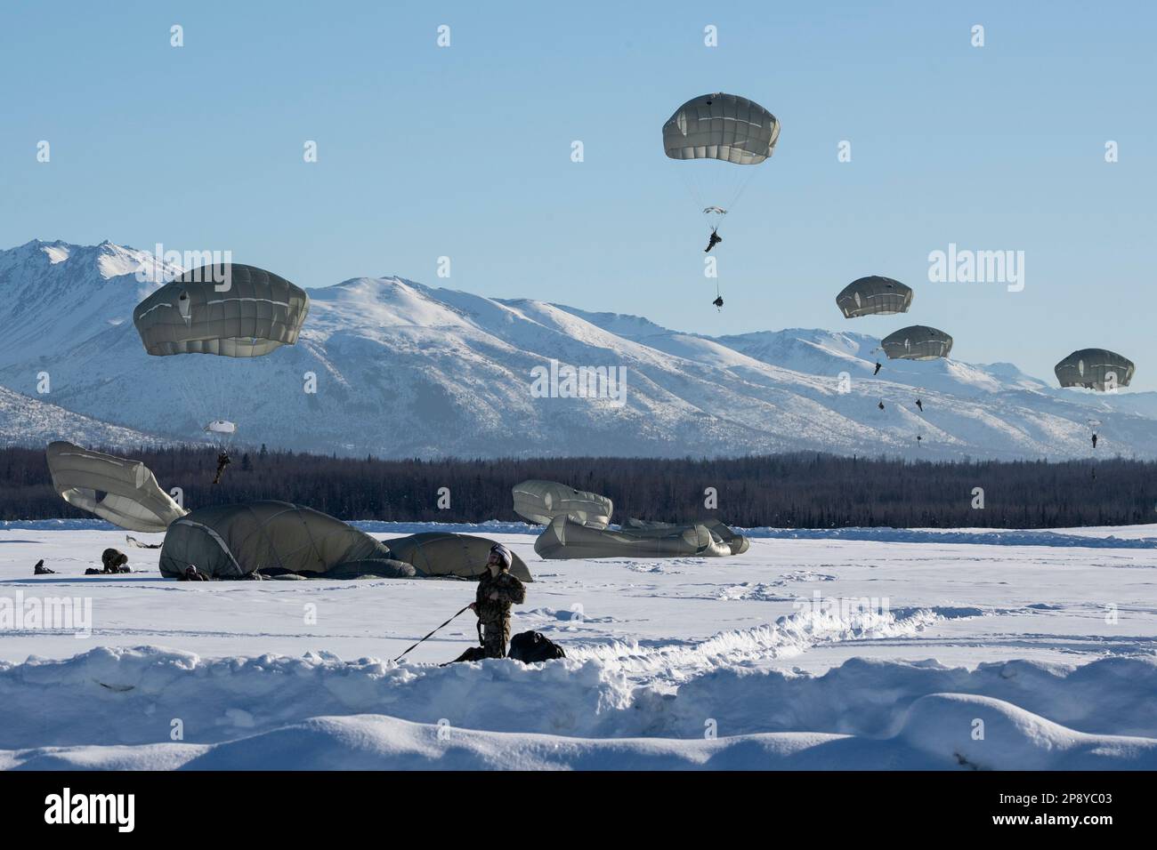 USA Fallschirmjäger der 2. Infanterie-Brigaden-Kampfeinheit (Airborne), 11. Luftwaffe, landen auf der Malemute Drop Zone während eines Frauensprungs auf der Joint Base Elmendorf-Richardson, Alaska, 7. März 2023. Die Luftaktion wurde in Anerkennung des geschichtlichen Monats der Frauen durchgeführt und war der erste rein weibliche Sprung in der Geschichte der Division. Jedes Bataillon der 2/11 war beim Sprung vertreten, ebenso wie die Mitarbeiter der Division. (USA Air Force Foto von Alejandro Peña) Stockfoto