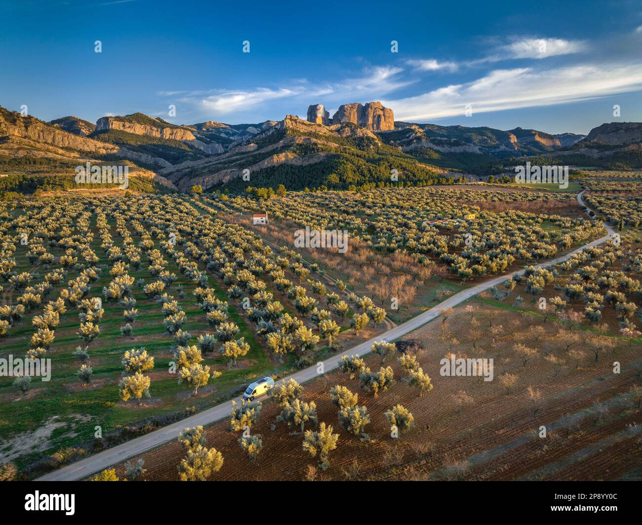 Luftaufnahme des Sonnenuntergangs zwischen Feldern und Olivenhainen im Frühling, mit Els Ports Natural Park und den Roques de Benet Felsen im Hintergrund (Spanien) Stockfoto