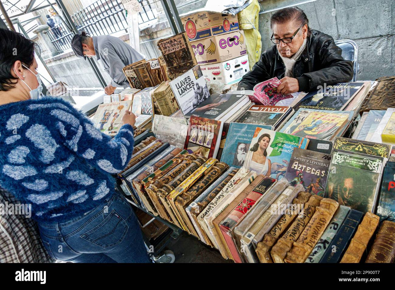 Mexiko-Stadt, Callejon Condesa Los Rescatadores, Bücher Buchhändler Buchverkäufer Kioske, lesen schauen, Männer Männer, Frauen Frauen Frauen Frauen, adu Stockfoto