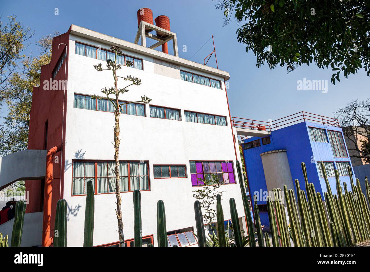 Mexiko-Stadt, San Angel Museo Casa Estudio Diego Rivera y Frida Kahlo, House Studio Museum, Architekt Juan O'Gorman, Kaktushecke, Außenfassade, Gebäude Stockfoto