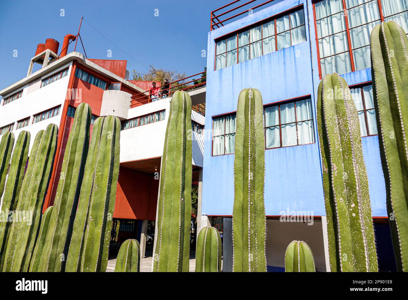 Mexiko-Stadt, San Angel Museo Casa Estudio Diego Rivera y Frida Kahlo, House Studio Museum, Architekt Juan O'Gorman, Kaktushecke, Außenfassade, Gebäude Stockfoto