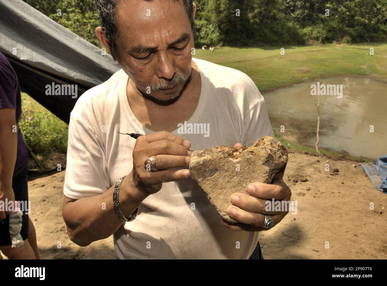 Fachroel Aziz, ein Forschungsprofessor für Vertebratenpaläontologie, wird an der Ausgrabungsstätte von Elephas hysudrindicus fotografiert – eine ausgestorbene Elefantenart, die während der Epoche des Pleistozän lebte, die später als „Blora Elefant“ bezeichnet wird – in Sunggun, Mendalem, Kradenan, Blora, Central Java, Indonesien. Stockfoto