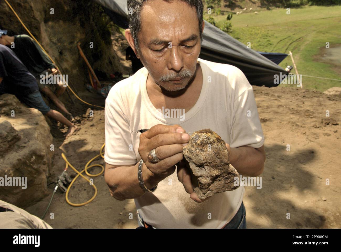 Fachroel Aziz, ein Forschungsprofessor für Wirbeltierpaläontologie, wird an der Ausgrabungsstätte von Elephas hysudrindicus fotografiert – eine ausgestorbene Elefantenart, die während der Epoche des Pleistozän lebte, später als „Blora Elefant“ bekannt – in Sunggun, Mendalem, Kradenan, Blora, Central Java, Indonesien. Stockfoto