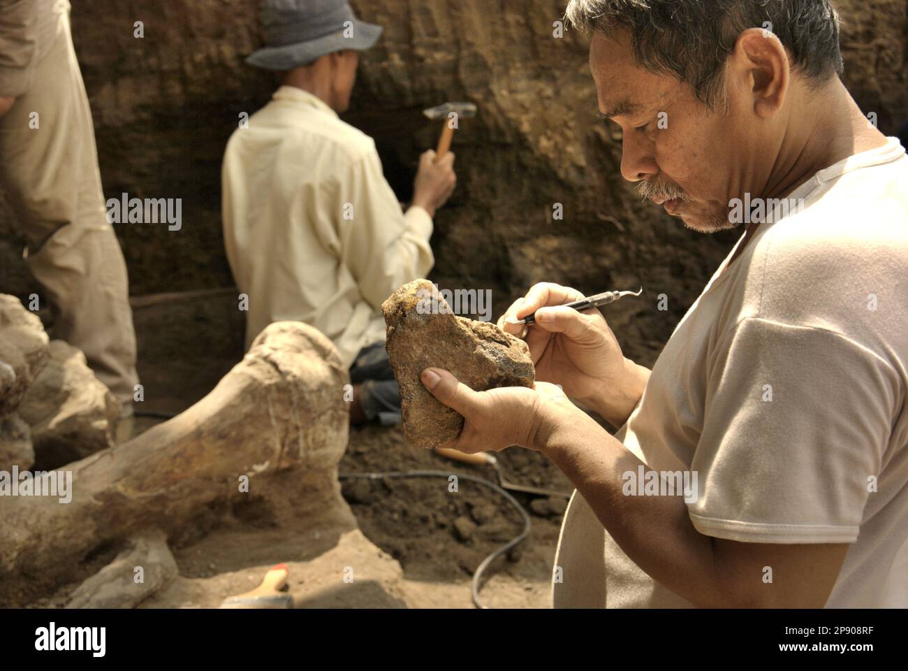 Fachroel Aziz, ein Forschungsprofessor für Vertebratenpaläontologie, wird an der Ausgrabungsstätte von Elephas hysudrindicus fotografiert – eine ausgestorbene Elefantenart, die während der Epoche des Pleistozän lebte, die später als „Blora Elefant“ bezeichnet wird – in Sunggun, Mendalem, Kradenan, Blora, Central Java, Indonesien. Stockfoto
