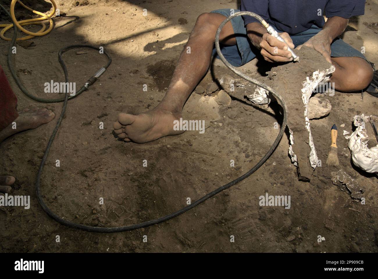 Ein Dorfbewohner benutzt einen Reiniger, da er mit einem versteinerten Knochen einer ausgestorbenen Elefantenart arbeitet, die wissenschaftlich als Elephas hysudrindicus oder allgemein als Blora Elephant bezeichnet wird, an der Ausgrabungsstätte in Sunggun, Mendalem, Kradenan District, Blora Regency, Central Java Province, Indonesien. Das Fossil ist teilweise mit Gips bedeckt, um später zum Geologiemuseum in Bandung, West Java, zu transportieren. Das Team von Wissenschaftlern von Vertebrate Research (Geologische Agentur, indonesisches Ministerium für Energie und mineralische Ressourcen) unter der Leitung von Iwan Kurniawan und Fachroel Aziz entdeckte... Stockfoto