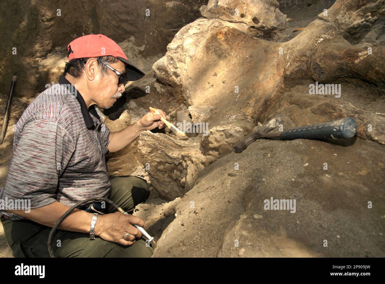 Fachroel Aziz, ein Forschungsprofessor für Wirbeltierpaläontologie, wird fotografiert, während er an der Ausgrabungsstätte von Elephas hysudrindicus arbeitet – einer ausgestorbenen Elefantenart, die während der Epoche des Pleistozän lebte, die später als „Blora Elefant“ bekannt ist – in Sunggun, Mendalem, Kradenan, Blora, Zentraljava, Indonesien. Während der Ausgrabung entdeckte ein Team von Wissenschaftlern von Vertebrate Research (Geologische Agentur, indonesisches Ministerium für Energie und mineralische Ressourcen) unter der Leitung der Paläontologen Iwan Kurniawan und Fachroel Aziz die Knochen der Art fast vollständig (etwa 90 Prozent), die später... Stockfoto