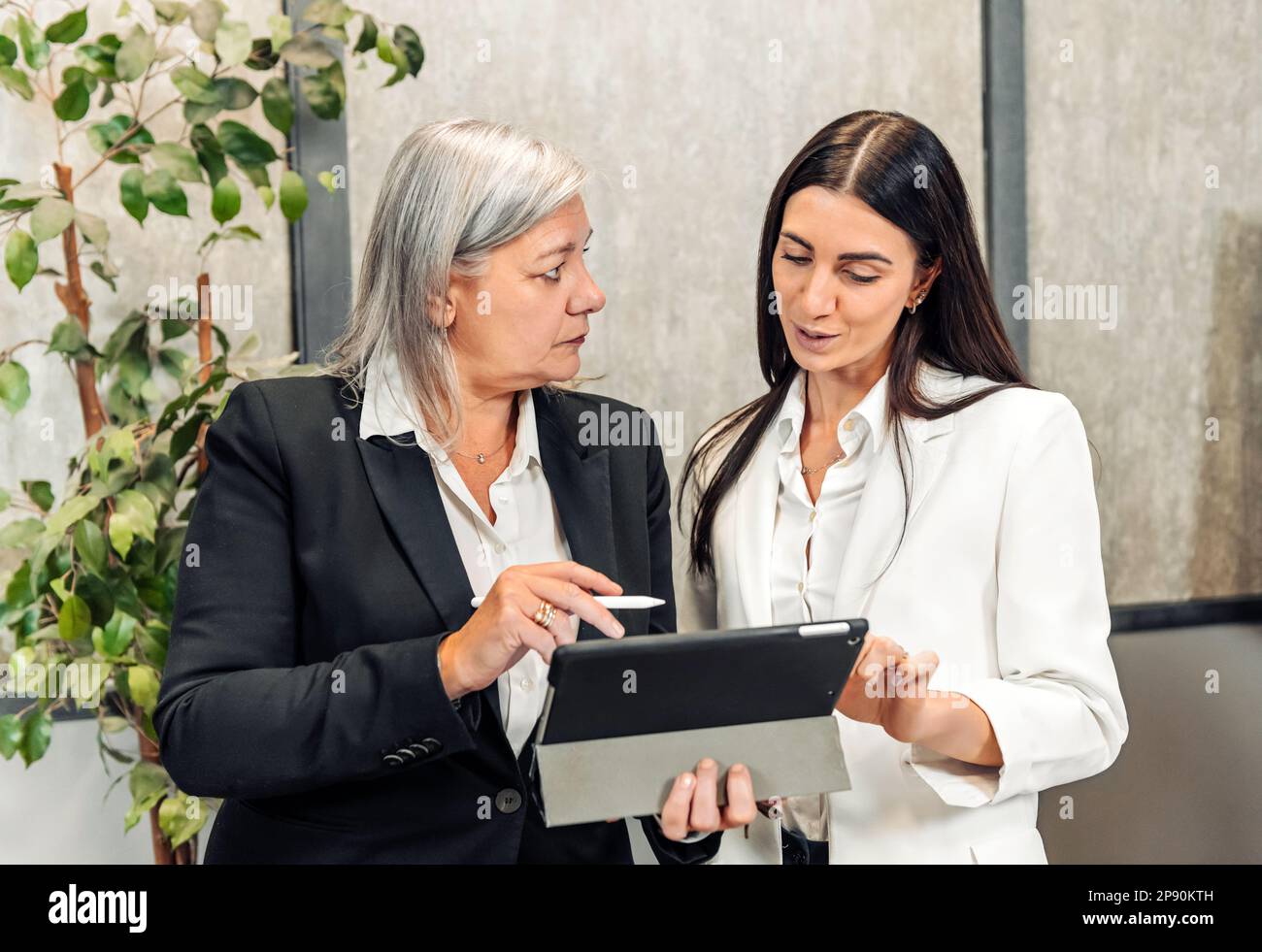 Konzentrierte weibliche Kollegen in formeller Kleidung stehen im modernen Büro und arbeiten gemeinsam an einem Projekt mit einem Tablet Stockfoto