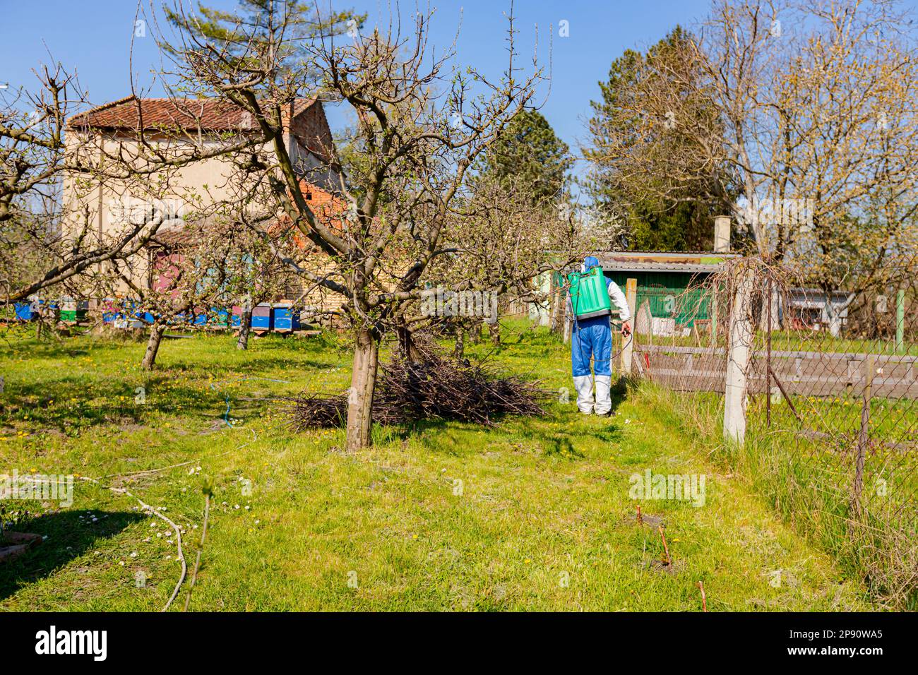 Biologische Schadlingsbekampfung Obstbaume 2