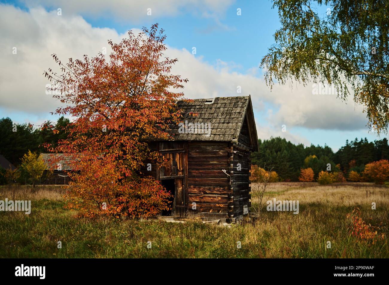 Eine alte verfallene Holzhütte Stockfoto