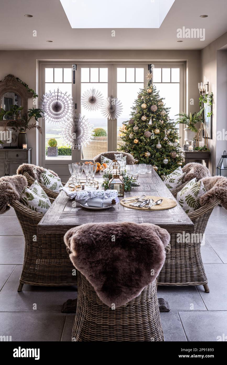 Korbsessel am Esstisch mit Weihnachtsbaum in einem Landhaus im Kunst- und  Handwerksstil, Kent, Großbritannien Stockfotografie - Alamy