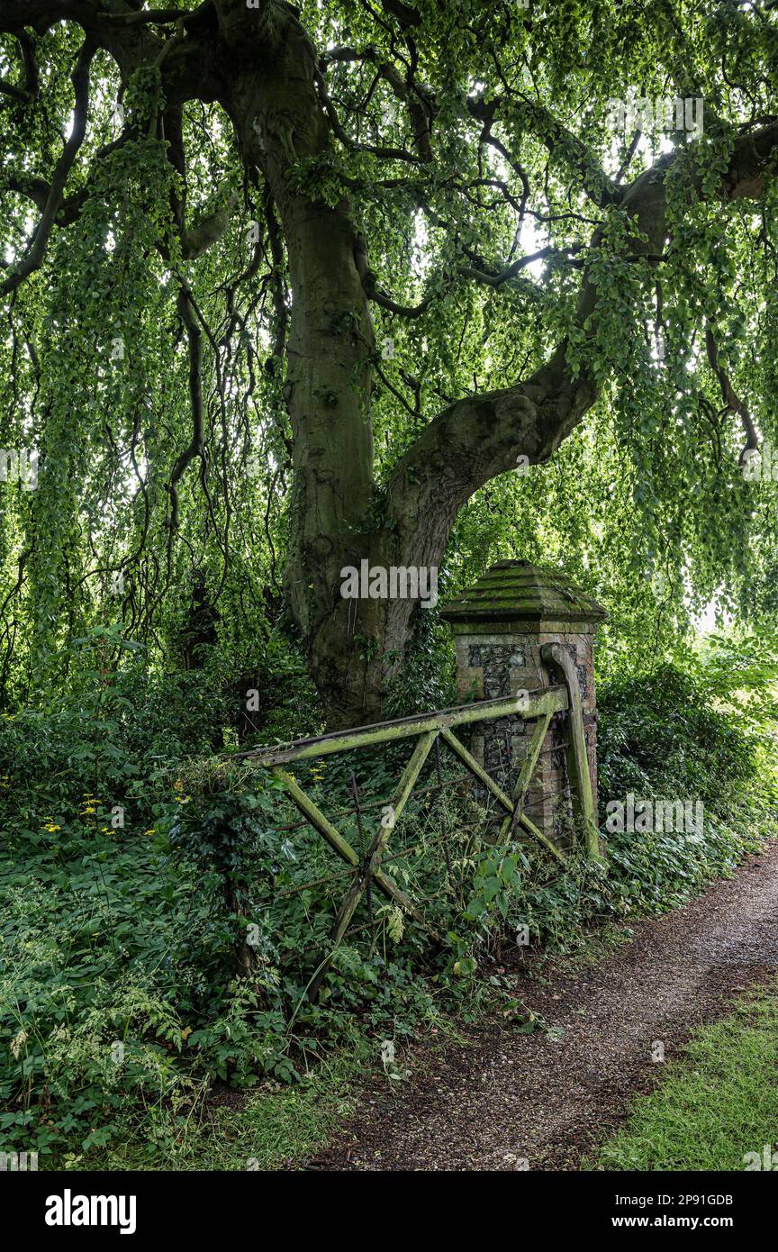 Ursprüngliches Tor in der Wiveton Hall, Jakobanisches Herrenhaus aus dem 17. Jahrhundert, Norfolk, Großbritannien Stockfoto