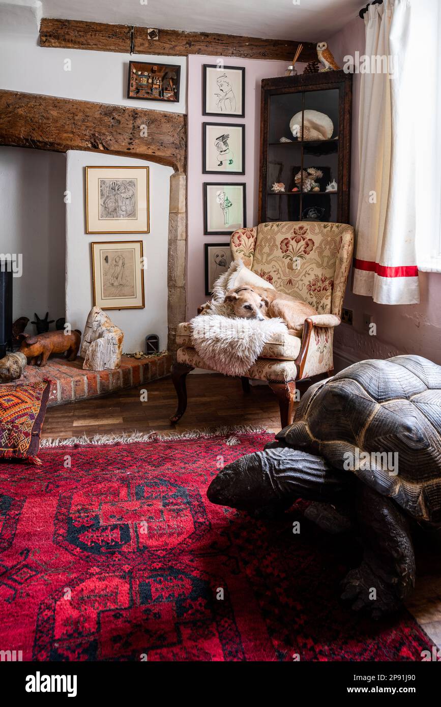 Riesenschildkröte aus dem Indischen Ozean, beobachtet von einem lurcher auf einem Sessel mit Muscheln aus Benin im Tudor-Bauernhaus aus dem 16. Jahrhundert, Suffolk, Großbritannien. Stockfoto