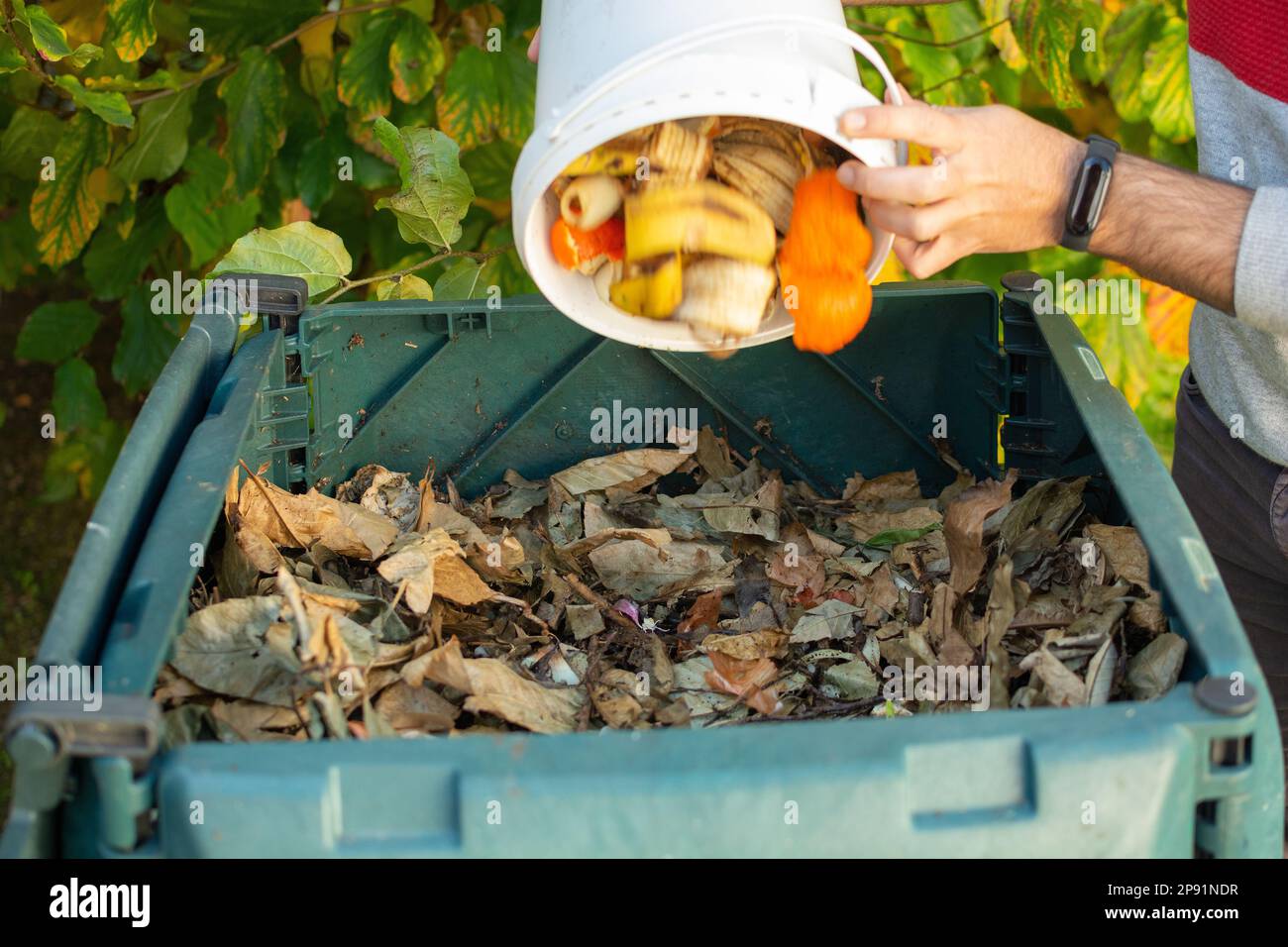 Ein junger Mann entleert einen Eimer mit organischem Abfall in einem Kompost-Behälter für den Außenbereich. Der Kompost-Behälter wird in einen Garten gestellt, um organischen Abfall zu recyceln Stockfoto
