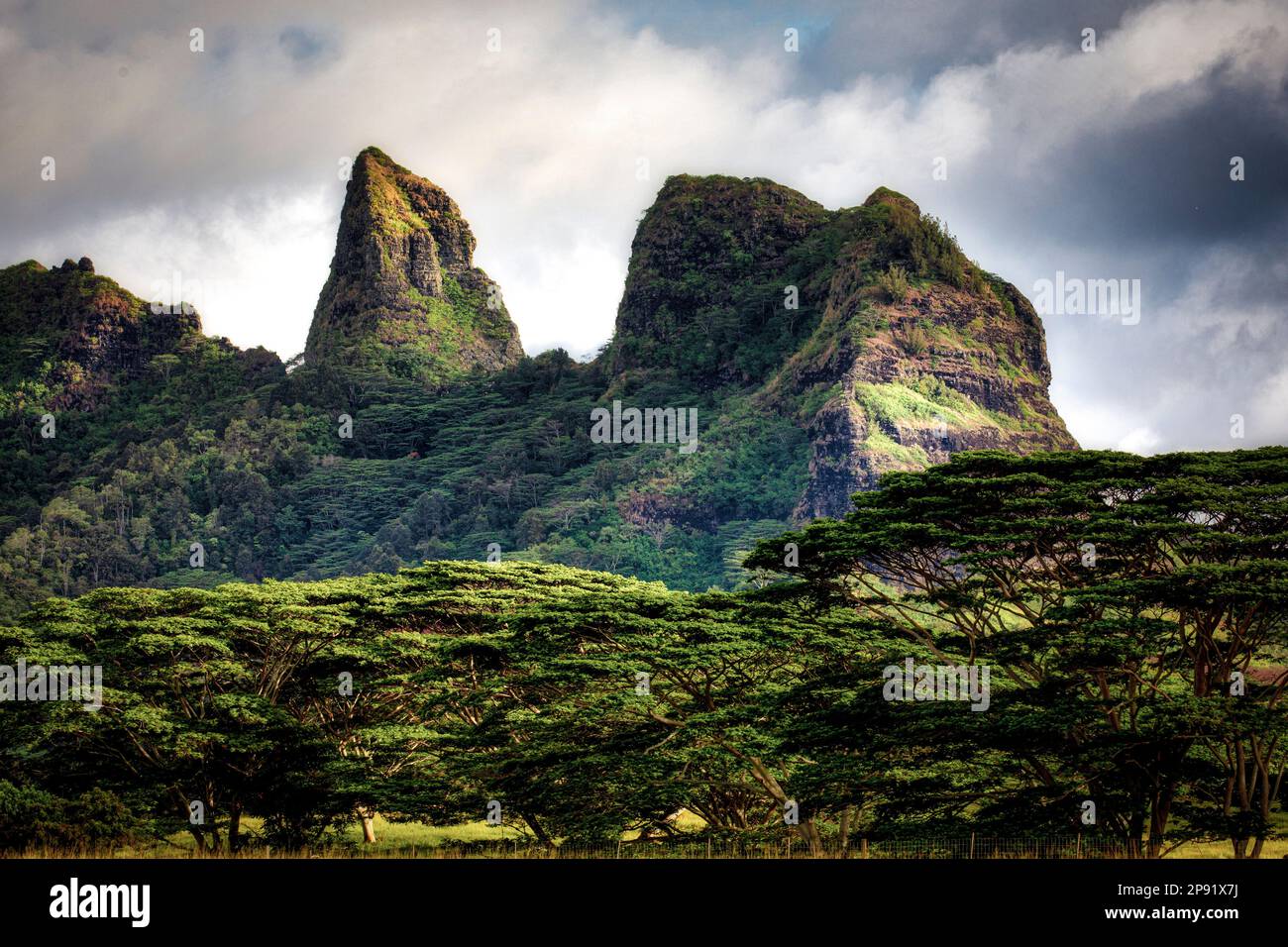 Der zerklüftete Kalalea Mountain Ridge auf Kauai, Hawaii. Stockfoto