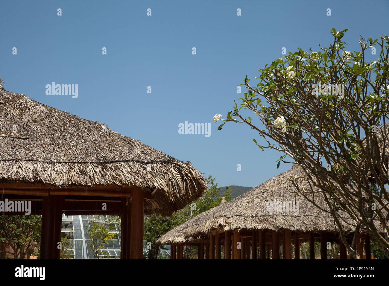 Strohgedeckten Pavillons aus Holz im Garten. Urlaub in den Tropen Entspannung im Resort Garten häuser Stockfoto