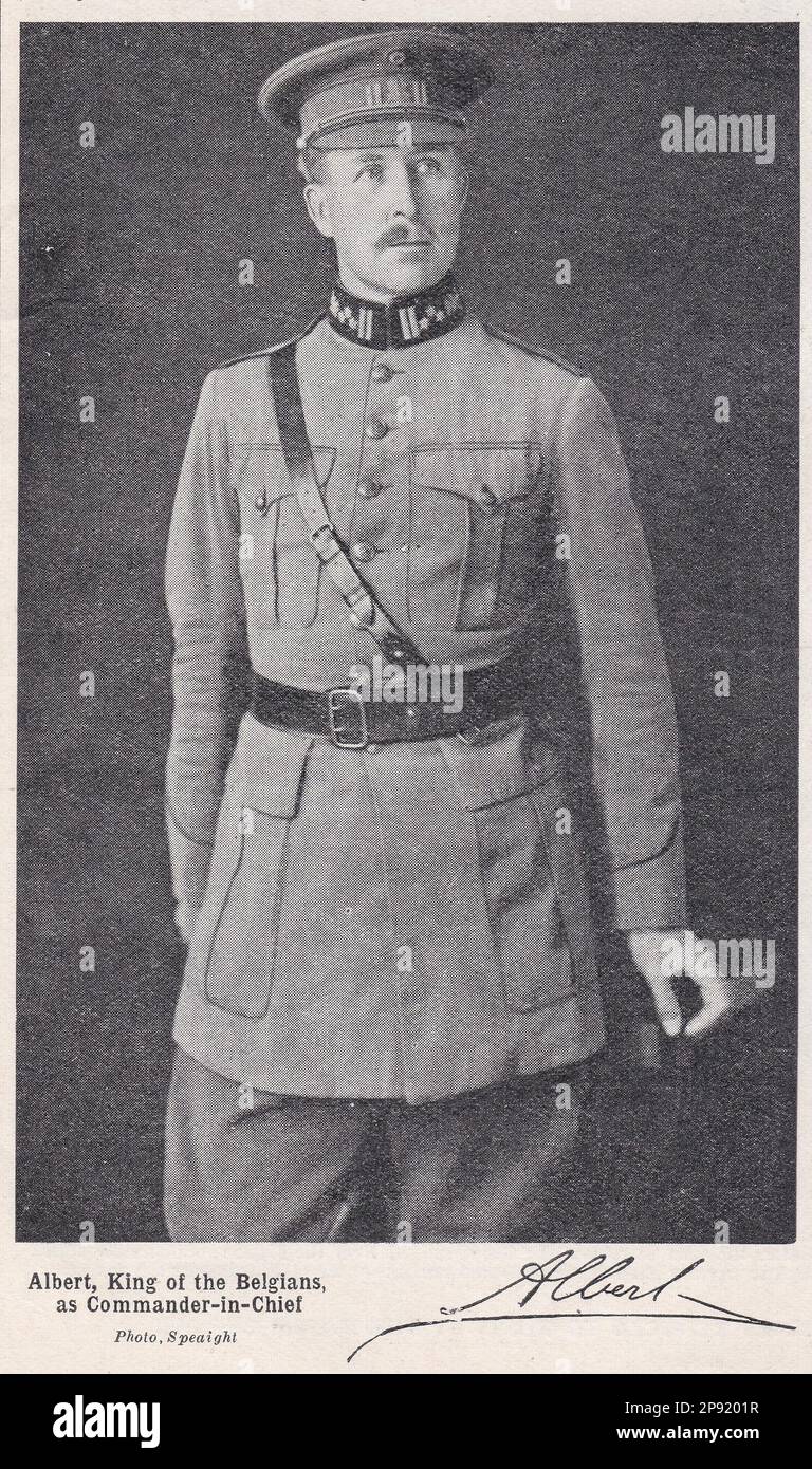 Albert, König der Belgier, als Oberbefehlshaber. Stockfoto
