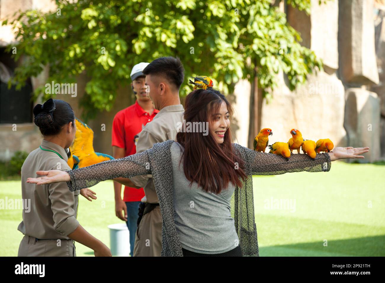Nha Trang, Vietnam - April 4, 2018: Der Vogel zeigen an vinpearl Vergnügungspark. Jungen asiatischen Mädchen, dass viele bunte Papageien auf ihren Arm und Kopf Stockfoto