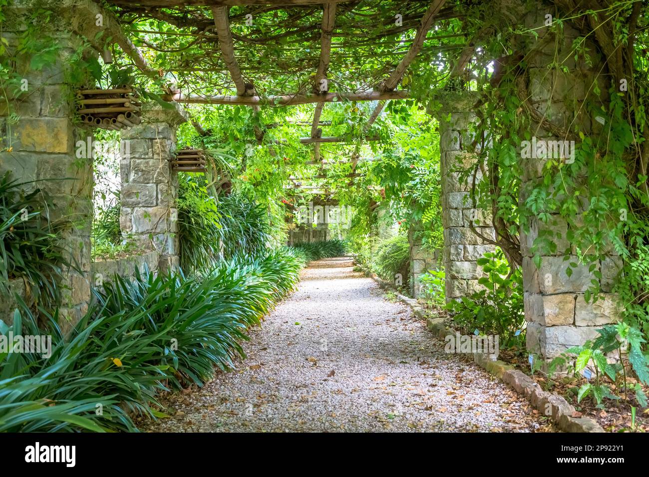 Garten mit Pergola-Struktur in hellen Farben im Spätsommer. Architektur und Design wurden von der Natur inspiriert Stockfoto