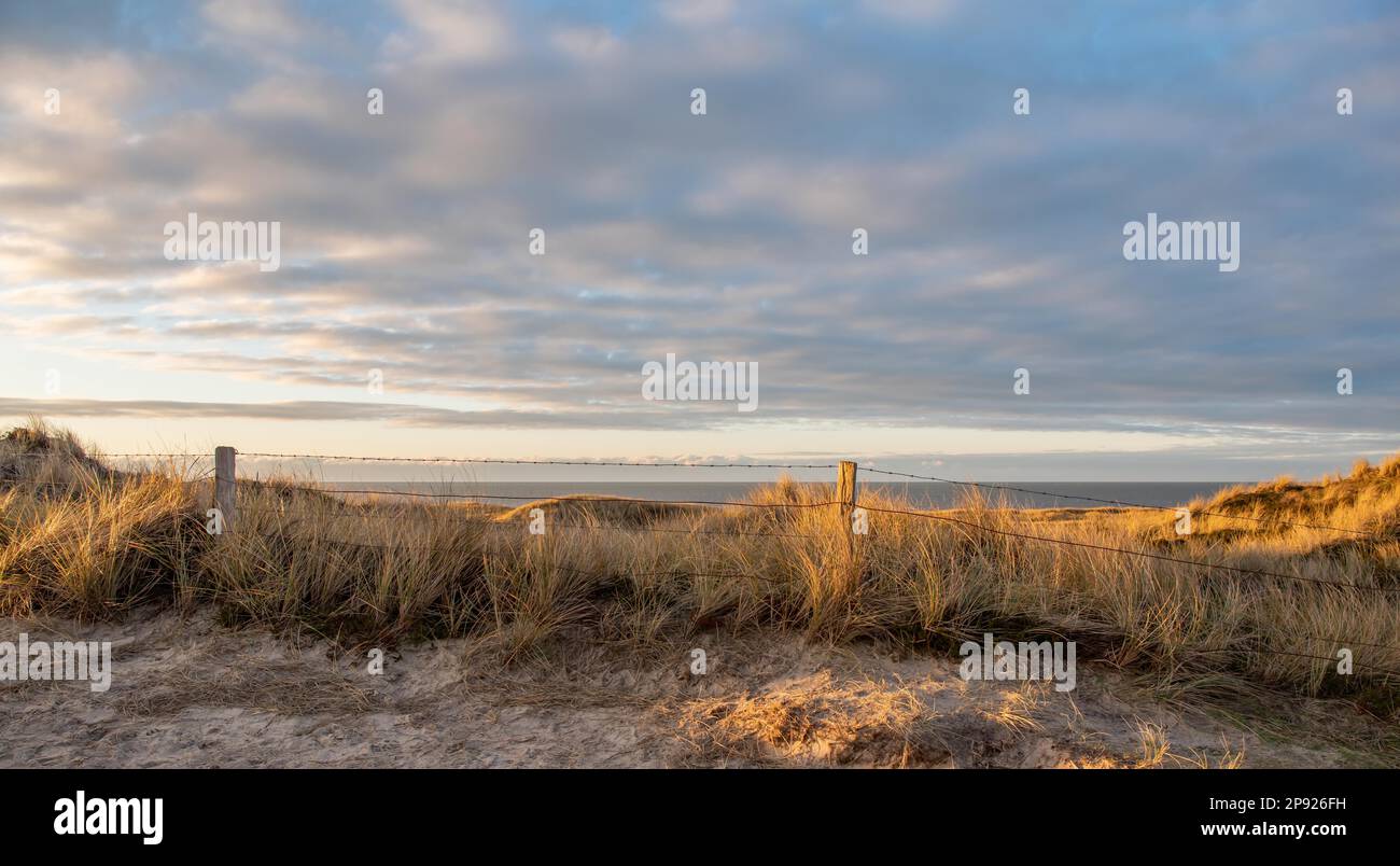 Dünenlandschaft an der Nordseeküste Stockfoto