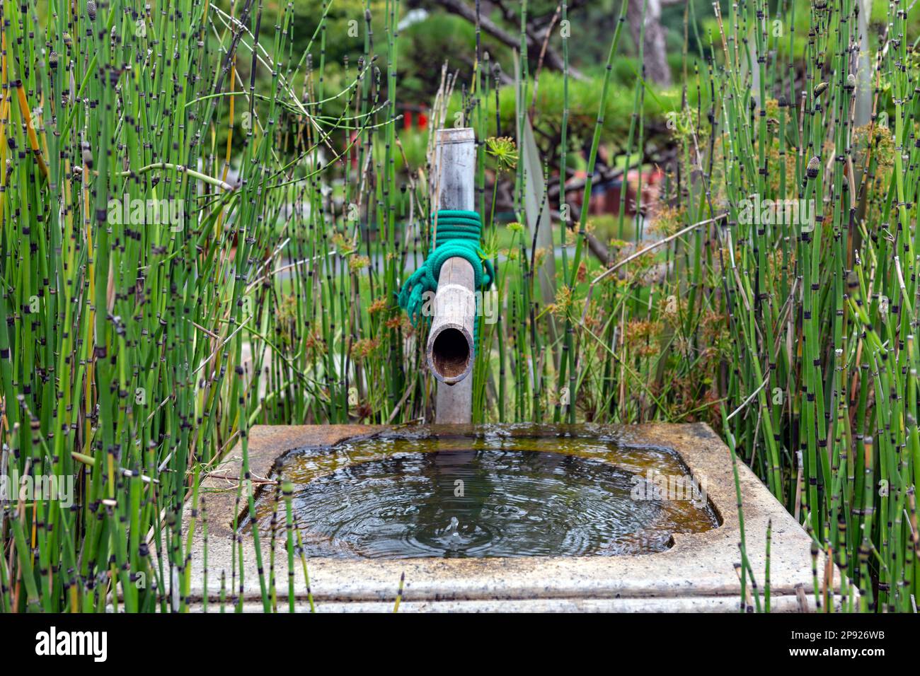 Springbrunnen mit Bambusrohr im japanischen Stil Stockfoto
