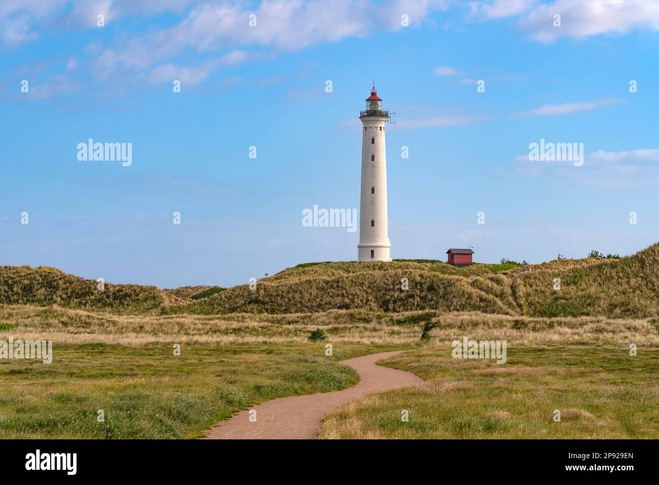 Der Leuchtturm Lyngvik Fyr am Holmsland Klit an der Westküste Jütlands, Hvide Sande, Nordsee, Dänemark Stockfoto