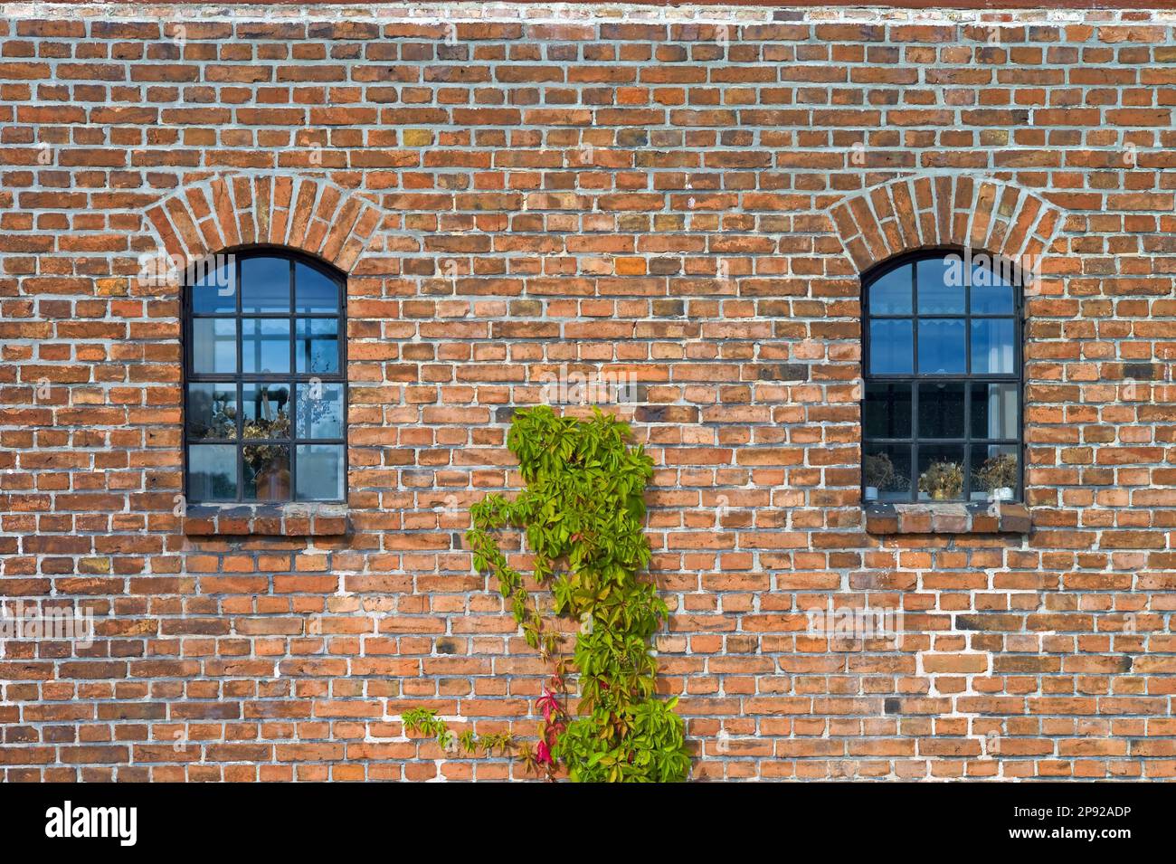 Ueckermuende Mecklenburg-Vorpommern Landkreis Westpommern Greifswald Fenster am Kulturspeicher in der Bergstraße Deutschland Europa Stockfoto