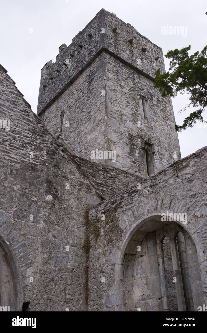 Friary Ruins of Muckross Abbey, Killarney National Park CO Kerry EIRE Stockfoto