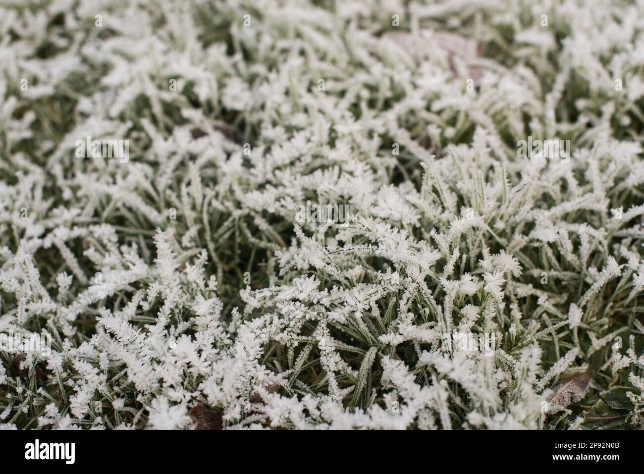 Eisige ablagerungen Fotos und Bildmaterial in hoher Auflösung Alamy