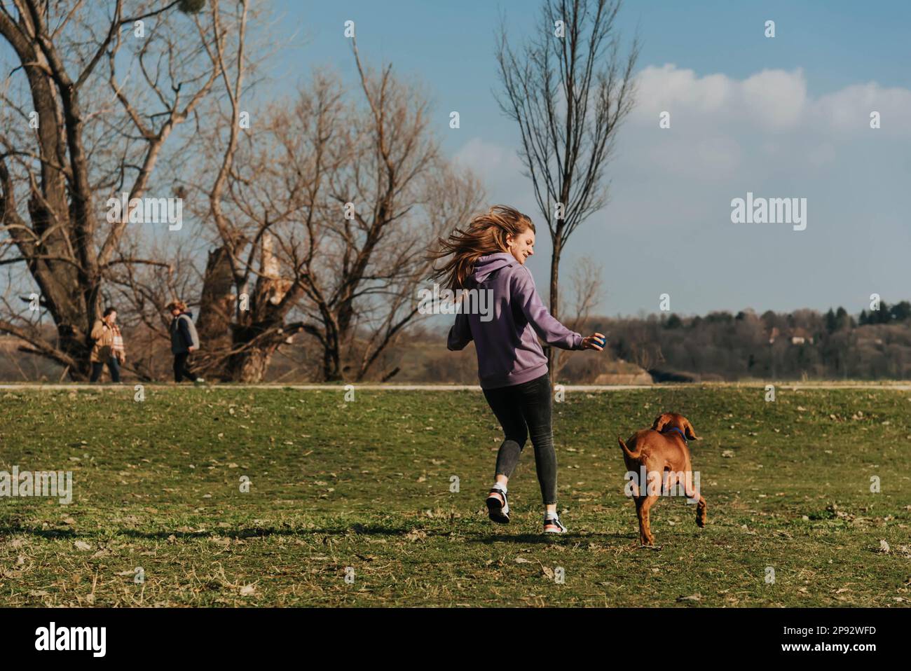 Mädchen, die mit dem Hund im Park Ball spielen Stockfoto