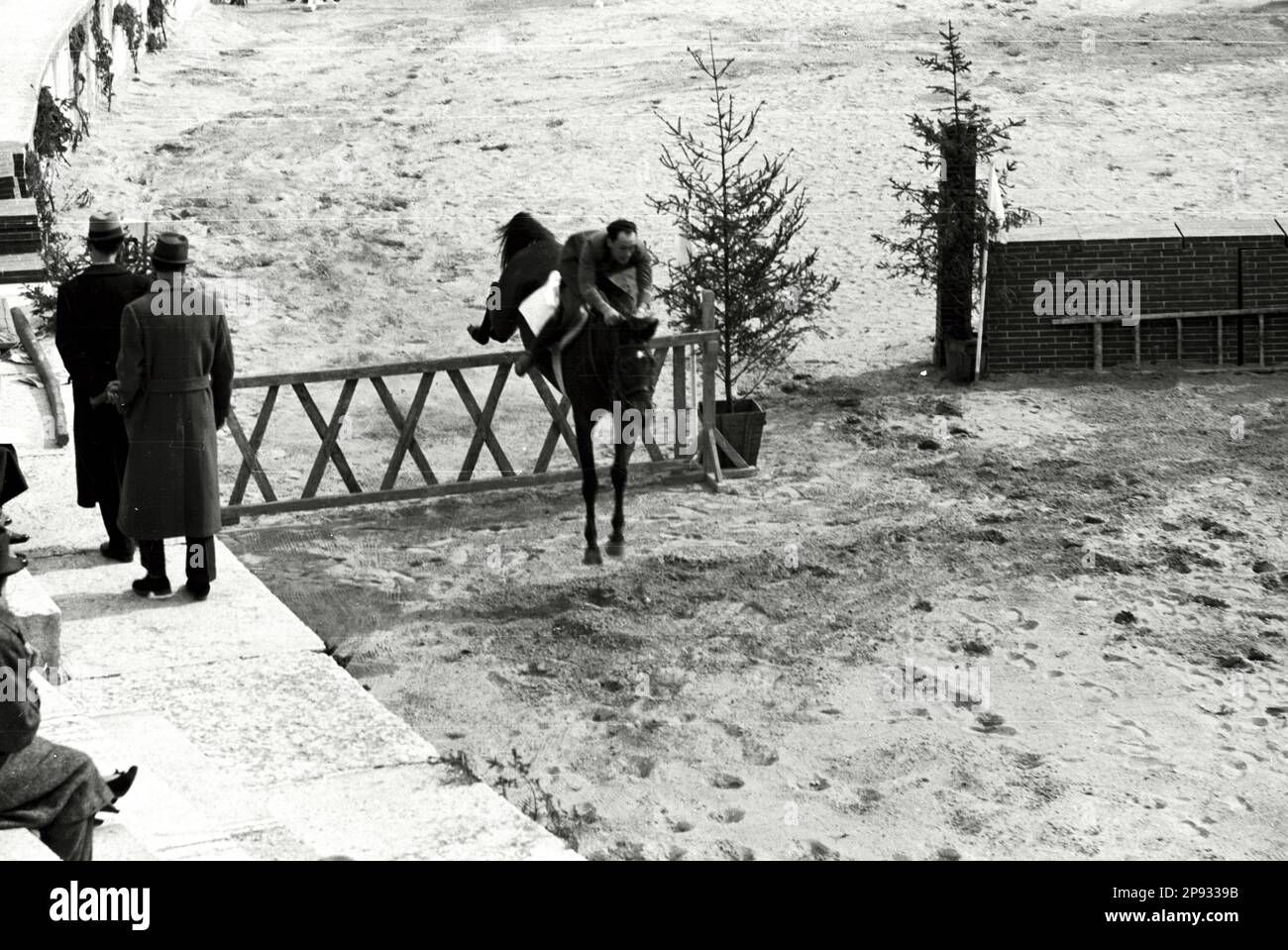 Verona - Fiera Cavalli 1939 - Gare all'interno dell'Arena Stockfoto