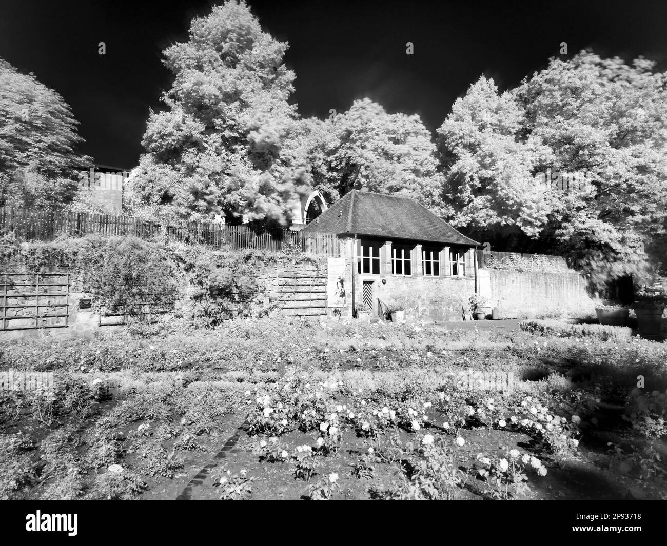 Europa, Deutschland, Hessen, Mittelhessen, Marburg County, Stadt Marburg, Schloss Landgrave, Schlosspark Stockfoto