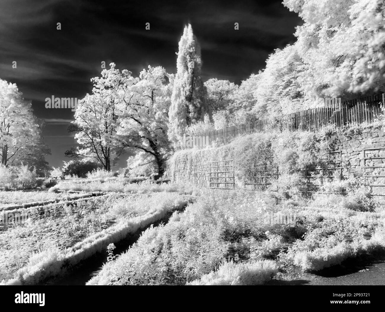Europa, Deutschland, Hessen, Mittelhessen, Marburg County, Stadt Marburg, Schloss Landgrave, Schlosspark Stockfoto