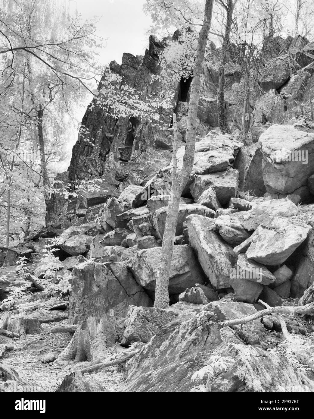 Europa, Deutschland, Hessen, Rhön, Naturpark und Biosphärenreservat Hessian Rhön, Felsformation „Steinwand“ bei Poppenhausen Stockfoto