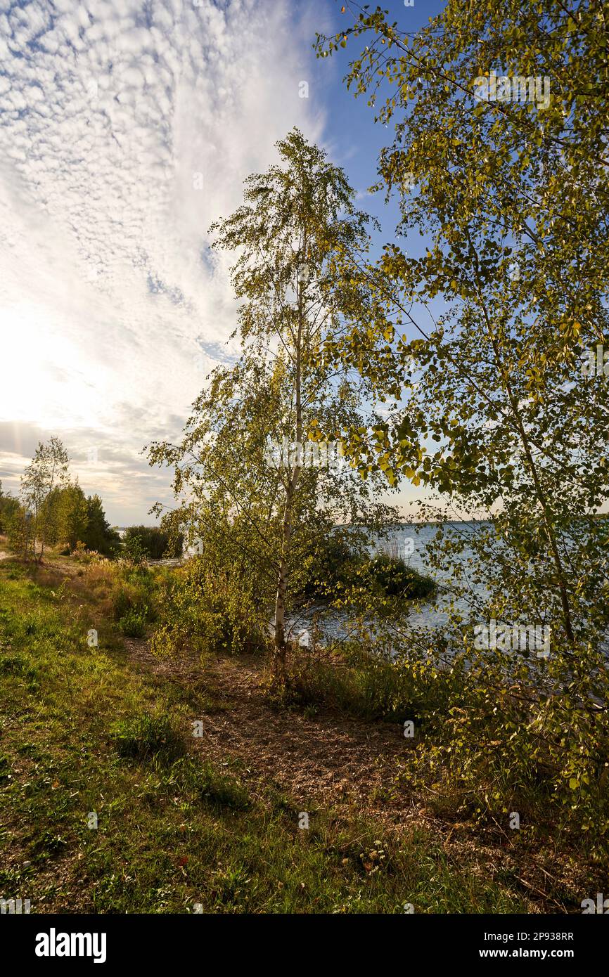 Zwenkauer See, der größte See im Leipziger Neuseeland, Stadt Zwenkau, Bezirk Leipzig, Sachsen, Deutschland Stockfoto