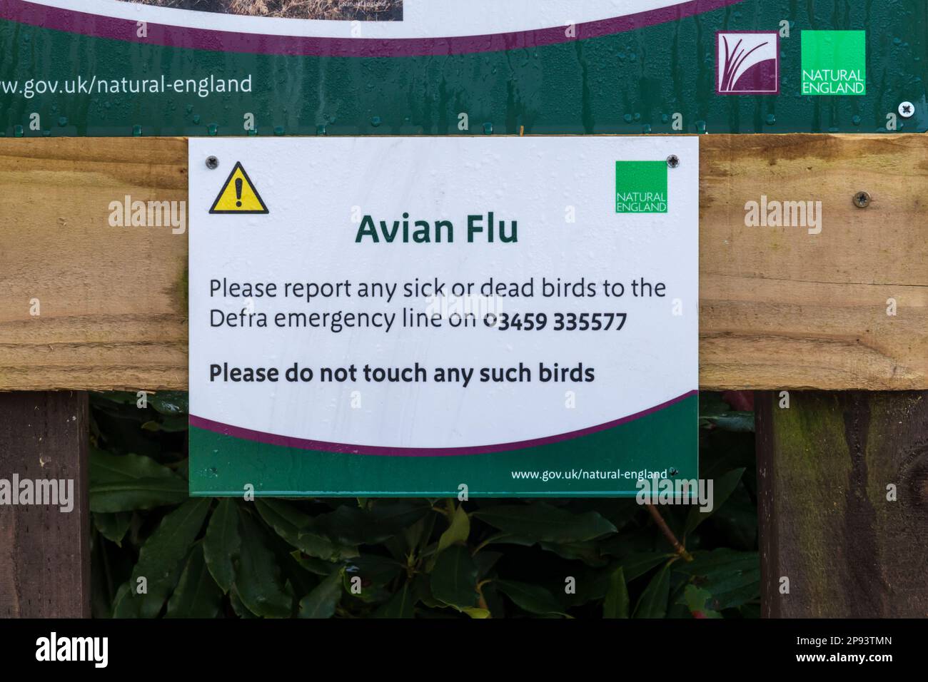 Ein Schild von Natural England warnt vor der Vogelgrippe am Eingang zum Naturschutzgebiet Dersingham Bog in Norfolk. Stockfoto