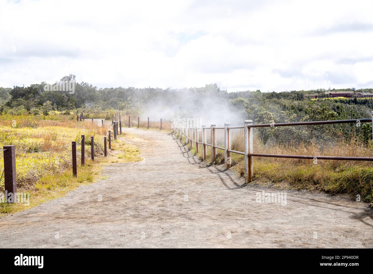 Wasserdampf am Rand von Kilauea Caldera, Hawai'i Volcanoes National Park, Big Island, Hawaii, USA, Polynesien, Ozeanien Stockfoto