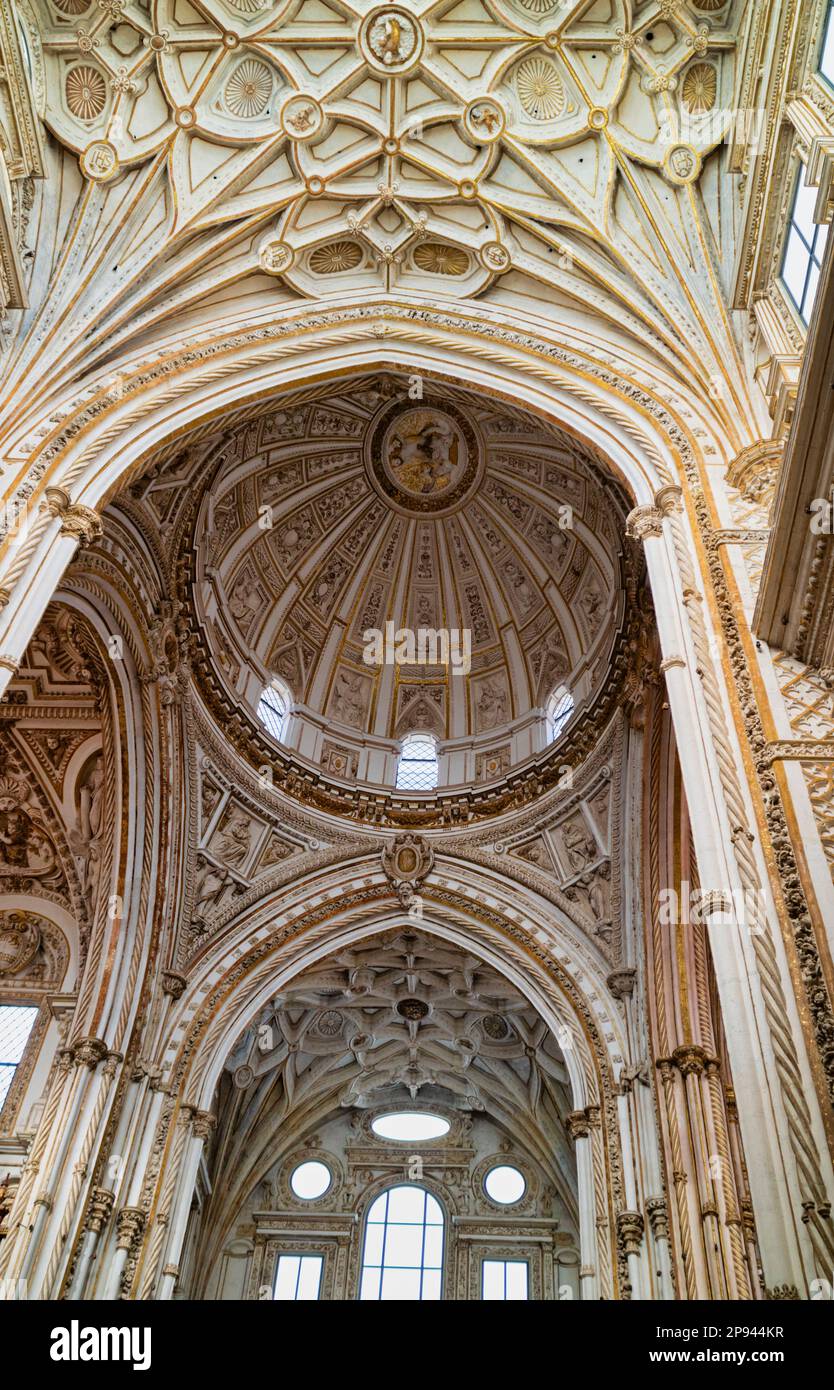 Decke und Kuppel der Renaissancekathedrale der Mariä Himmelfahrt, erbaut im Zentrum der Großen Moschee von Cordoba oder La Mezquita, Cordoba Stockfoto