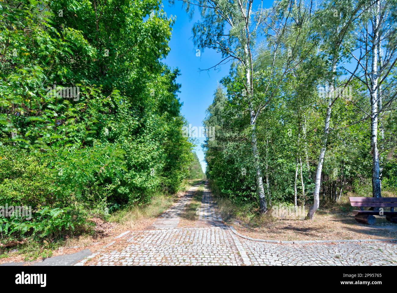 Grenzbarriere, ehemals, Denkmal, ehemaliger Grenzschutz, Grüngürtel, Zimmerau, Sulzdorf an der Lederhecke, Deutschland, Europa, Stockfoto