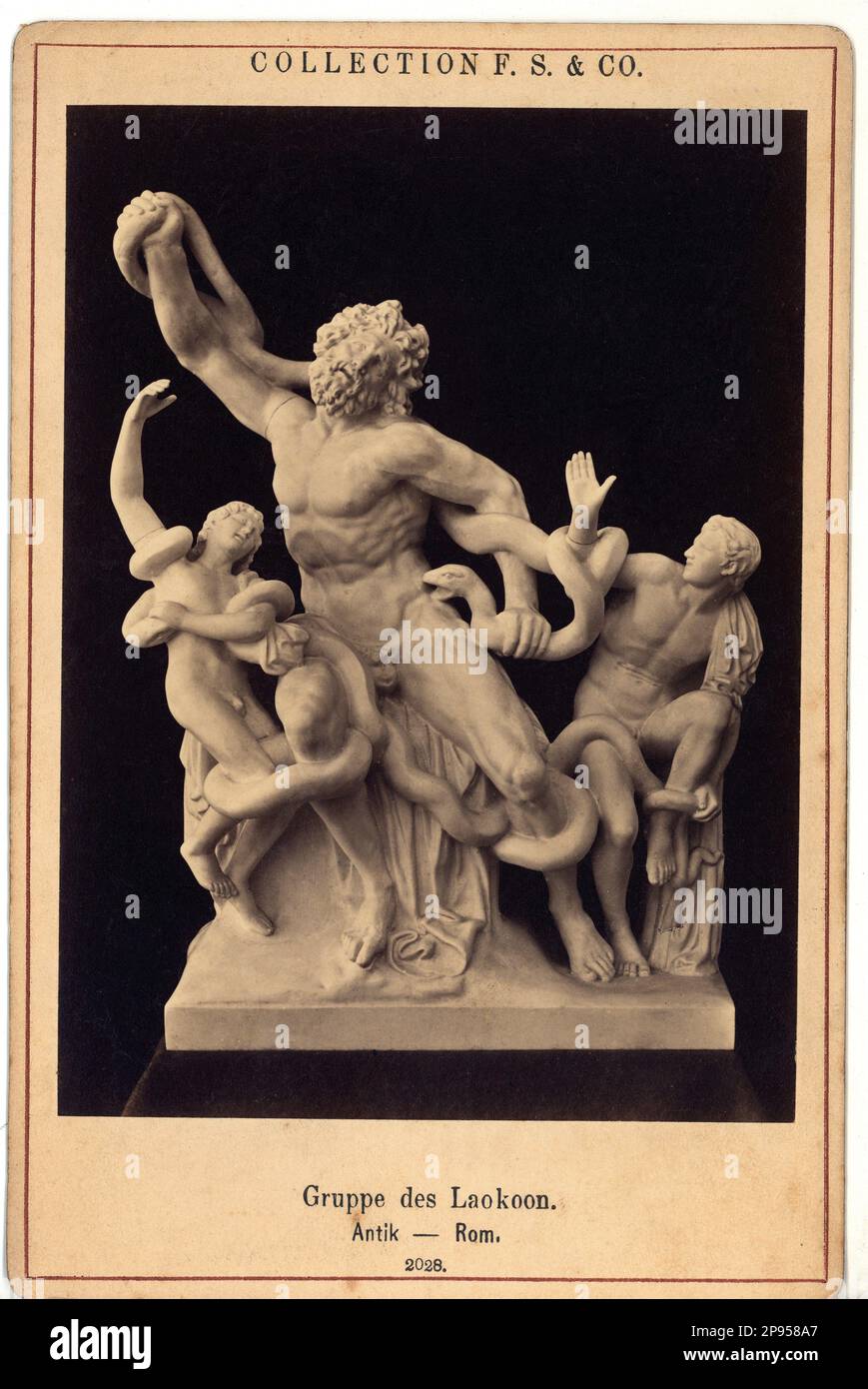 Rom , Italien : die LAOCOONTE-Gruppe ( Originalputz mit restaurierten Armen ), Vaticano , Foto von F.S. & Co, Deutschland, 1880 ca. Die Statue wurde vom römischen Autor Pliny dem Ältesten drei Bildhauern von der Insel Rhodos zugeschrieben: Agesander, Athenodoros und Polydorus. Es zeigt, wie der trojanische Priester Laocoön und seine Söhne Antiphantes und Thymbraeus von Seeschlangen erwürgt werden - SCULTORE - SCULTURA - Skulptur - ARTE - KUNST - Marmor - Kunst - statua - Bart - barba - ARTI PLASTICHE - KUNST - Rom - Italia - Laocoon Und seine Söhne... Archivio GBB Stockfoto