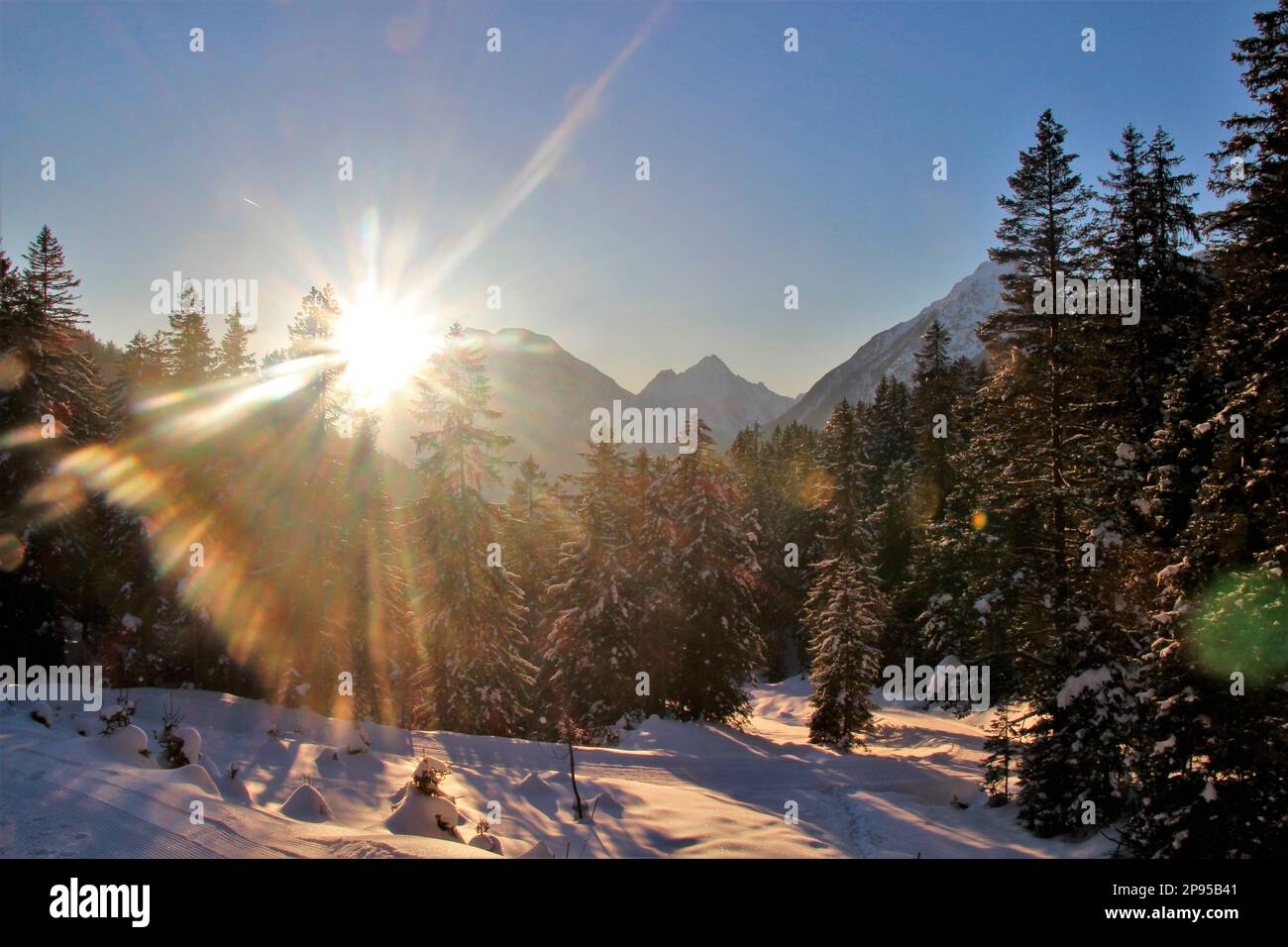 Abendliche Wanderung auf dem Rodelbahn hoher Sattel, Winterlandschaft, Natur, Ahrn, Leutasch, Scharnitz, Seefeld, Tirol, Österreich Stockfoto