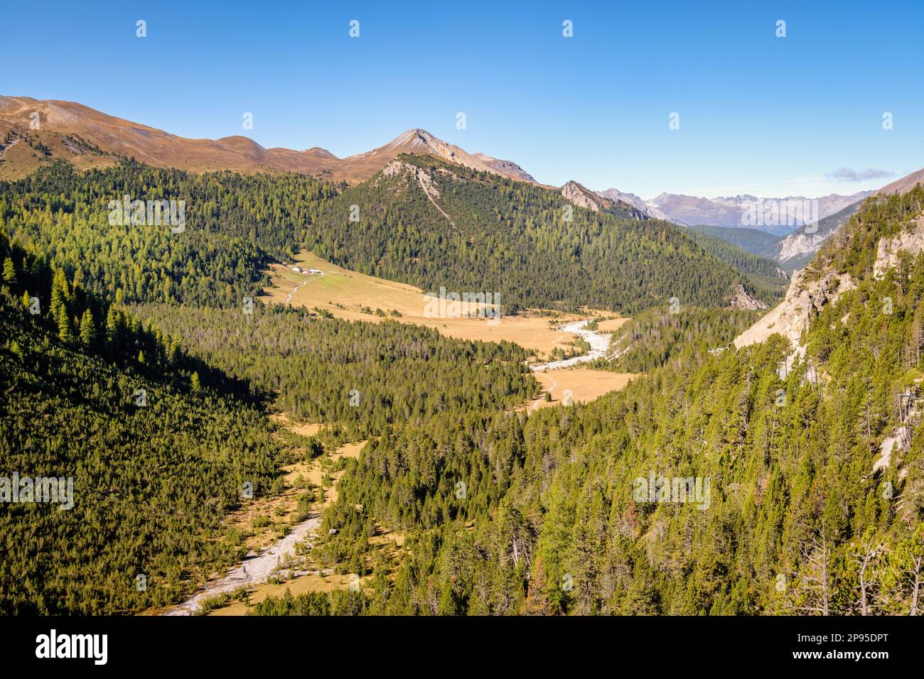 Blick auf den Schweizer Nationalpark vom Fuorn oder Ofen Pass (Pass dal Fuorn). Es verbindet Zernez im Engadin-Tal mit Val Müstair. Stockfoto